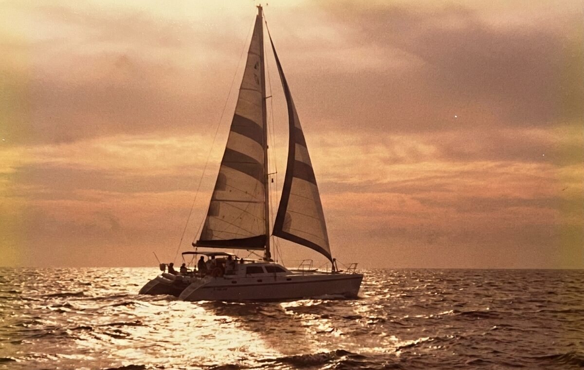 Illustration of a catamaran under sail at sunset